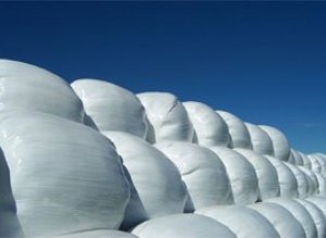 Söfnun rúlluplasts