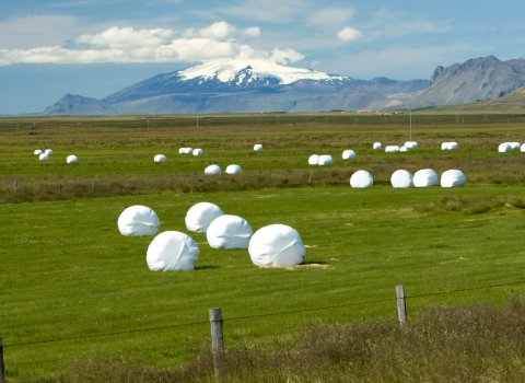 Rúllubaggaplast sótt í dreifbýli Blönduósbæjar