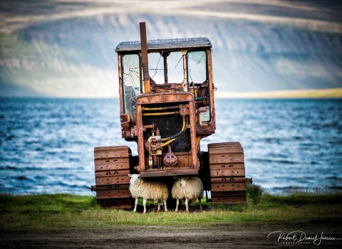 Svínvetningabraut - Kynning á framkvæmdum við stofnlagnir
