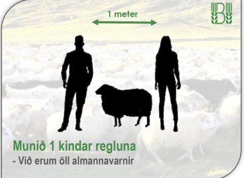 Fjöldatakmörk í réttum