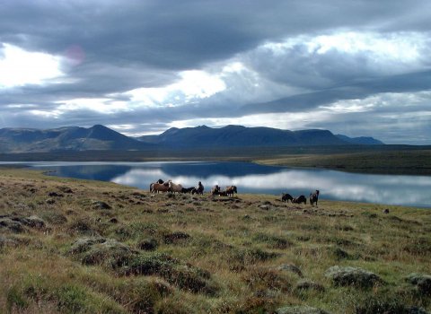 Fundarboð sveitarstjórnar