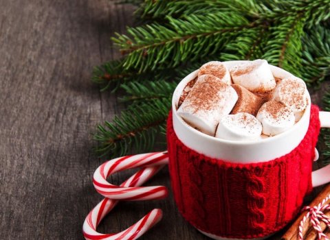 Aðventugleði í Húnabyggð