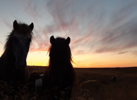 Niðurstaða 258. fundar sveitarstjórnar (síðasti fundur Húnavatnshrepps)