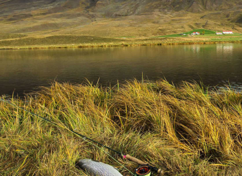 Vorveiði.  Ljósmynd: Róbert Daníel Jónsson