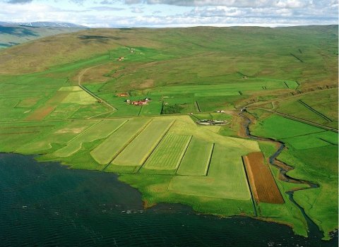 Frá Fjallskiladeild Auðkúluheiðar