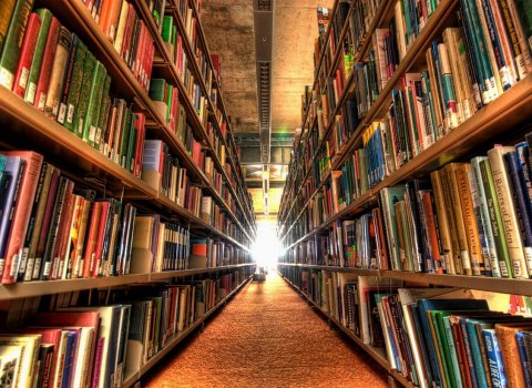 Bókasafn Húnavatnshrepps, Dalsmynni