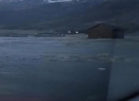 Undirfellsrétt. Mynd: Björn Viggó Björnsson