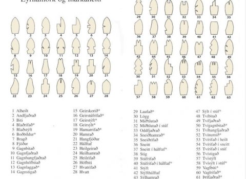 Á meðal þess fáa sem haldist hefur svo til óbreytt frá upphafi byggðar á Íslandi er notkun marka.