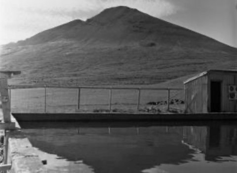 Reykjanibba, séð úr gömlu sundlauginni á Reykjum