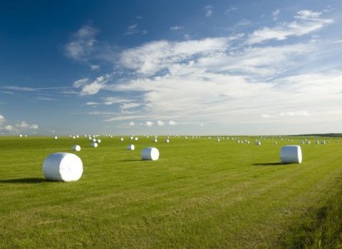 Söfnun á rúlluplasti