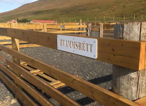 Réttað í Hvammsrétt