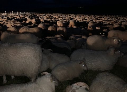 Nýtt efni, fjallskil