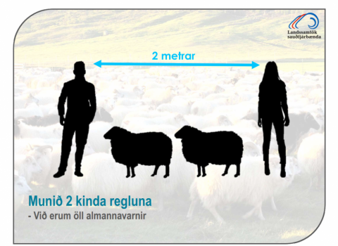 Göngur og réttir á tímum Covid-19