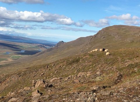 Fundur sveitarstjórnar