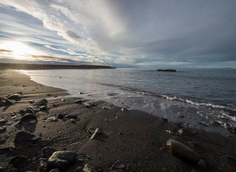 Ljósmynd:Fjara á Norðurlandi vestra. Ljósmyndari: Róbert Daníel Jónsson