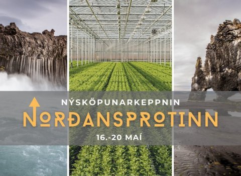 Ertu með nýsköpunarhugmynd á fyrstu stigum? Leitin að Norðansprotanum er hafin!
