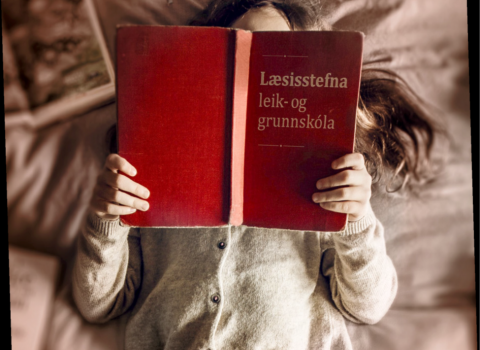 Læsisstefna Austur Húnavatnssýslu, Húnaþings vestra og leikskóla Strandabyggðar.