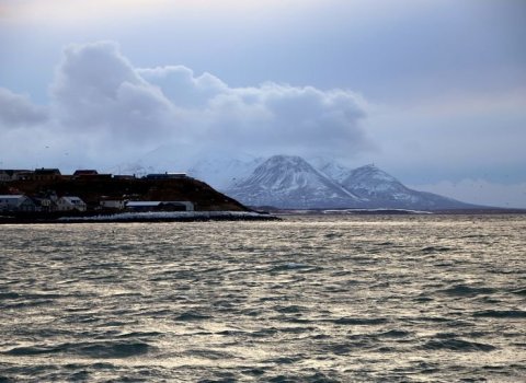 Sókn er besta vörnin