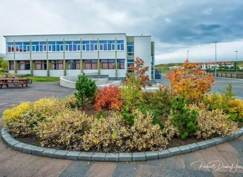 Blönduskóli óskar eftir stuðningsfulltrúa í unglingadeild