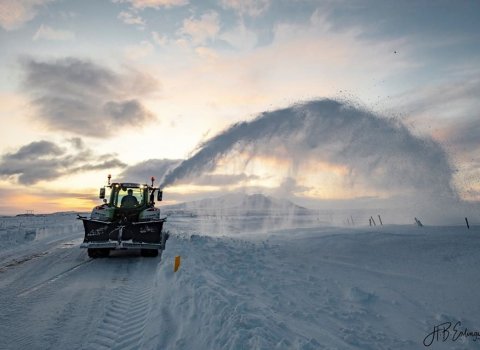 Drifkraftur                                                       Ljósmynd: Höskuldur B. Erlingsson