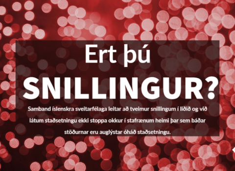 Ert þú snillingur?